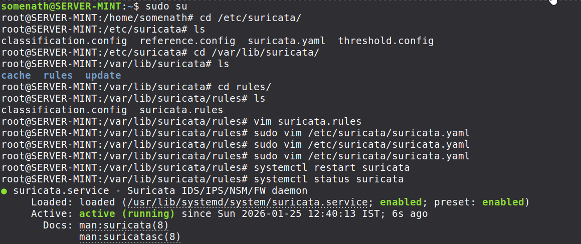 suricata_4