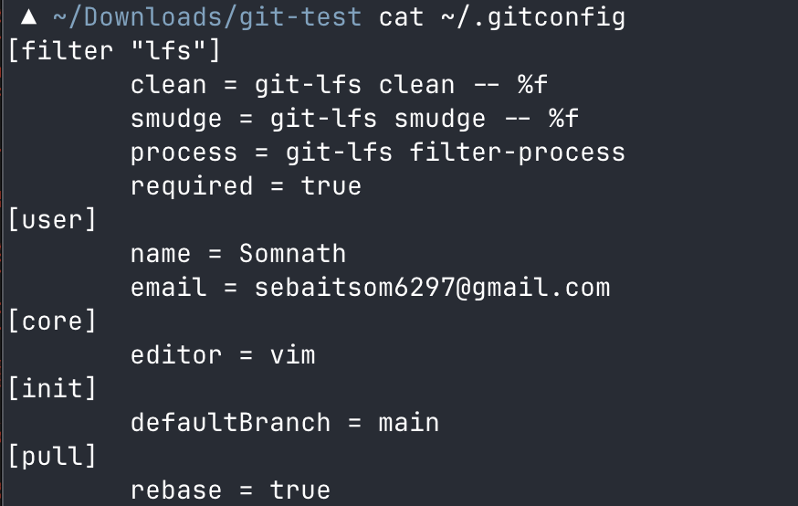 git_1
