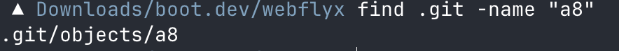 git_16