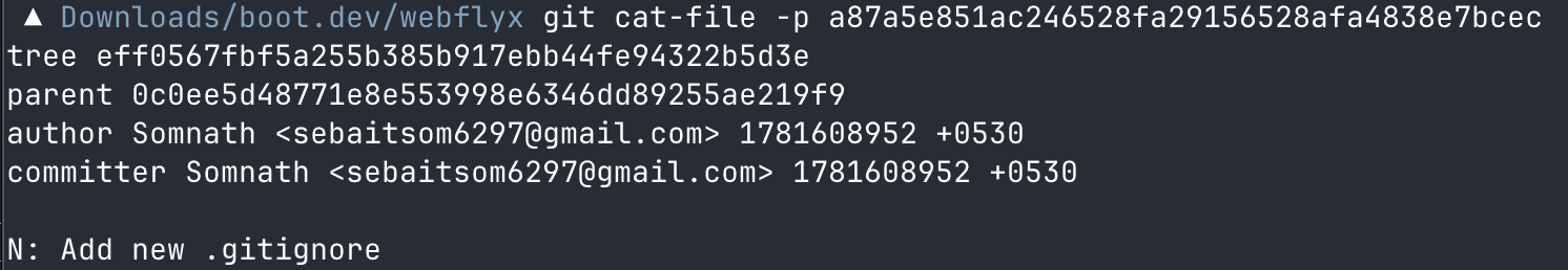 git_17