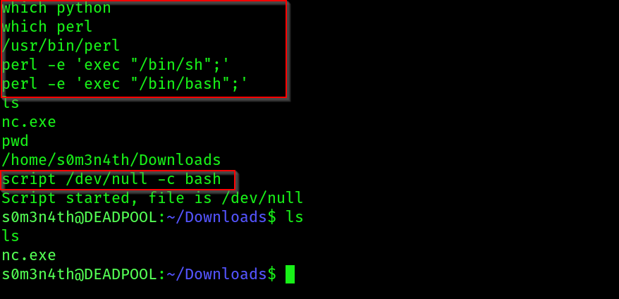 shell_12