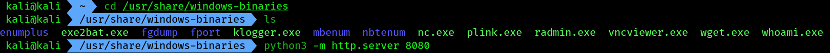 shell_3
