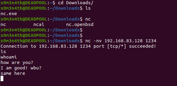 shell_6