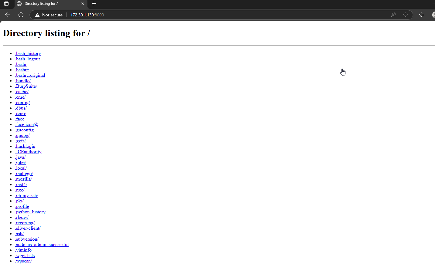 shellter_15