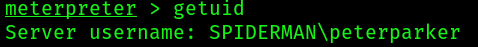 shellter_18