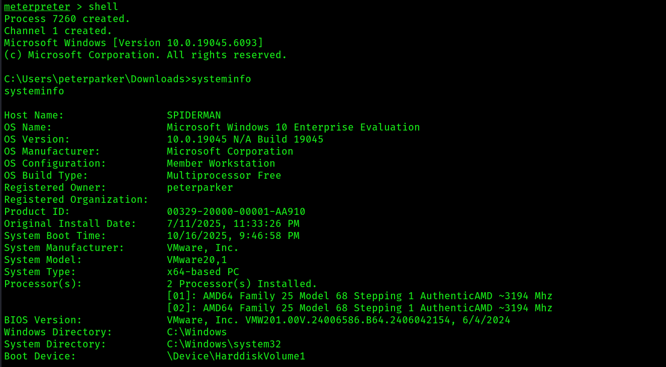 shellter_19