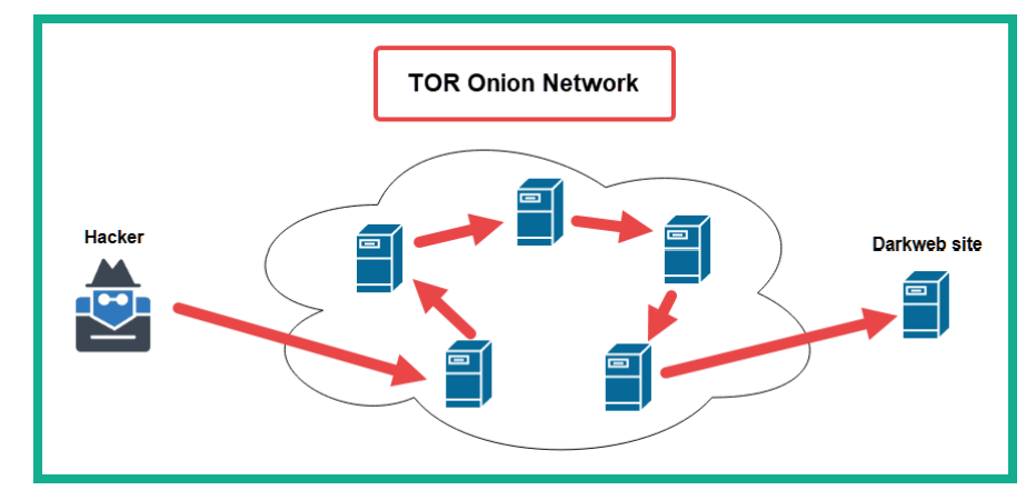 tor_1