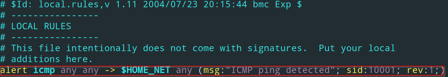 SNORT_LOC_RULE_1