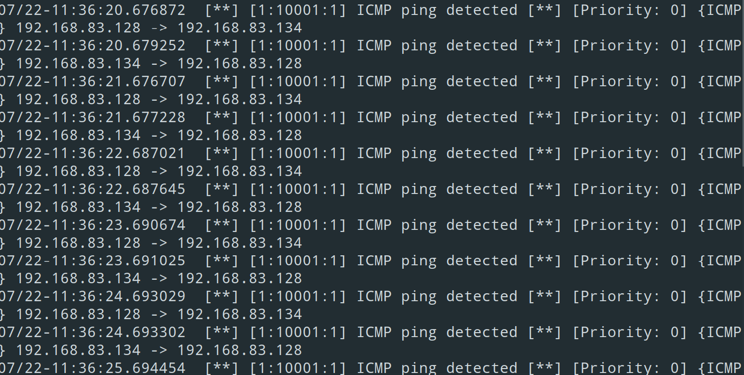 SNORT_RESULTS_1
