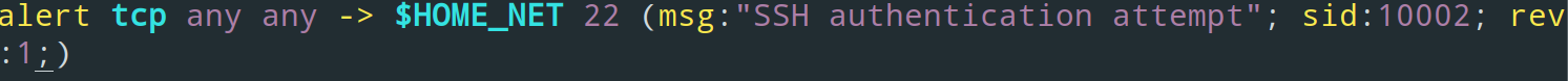 SNORT_RULE_3